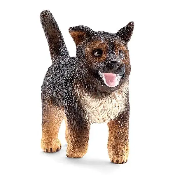 Chiot berger allemand Prix Cassé