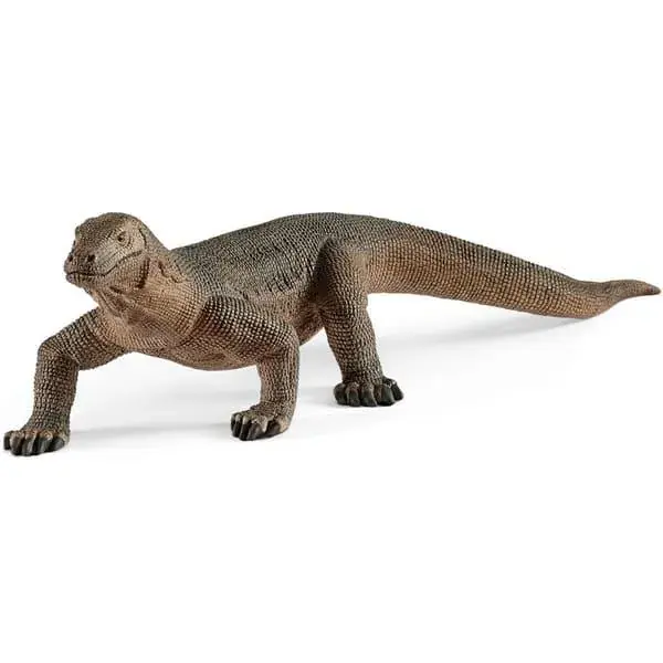 Commander Maintenant Dragon de Komodo