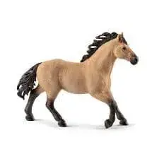 Étalon Quarter horse Meilleur Prix