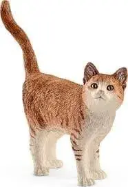 Chat Certifié