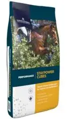 Staypower Cubes 20 kg DODSON & HORRELL Solde