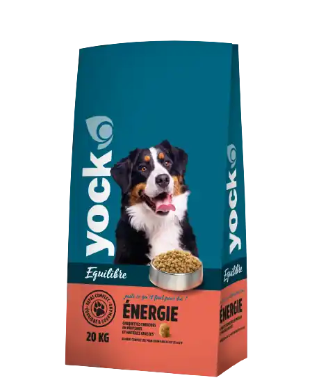 Usine Directe Croquettes pour chien énergie activité intensive 20kg YOCK