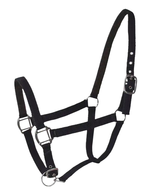 Licol nylon/cuir poney Noir Réduction