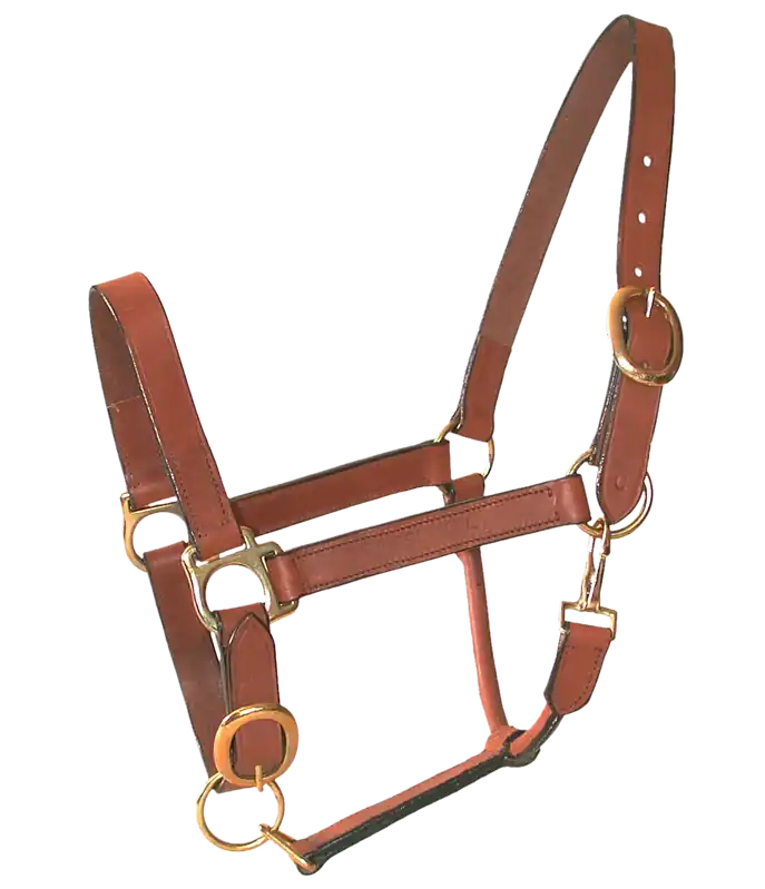 Acheter Direct Licol cuir huile poney