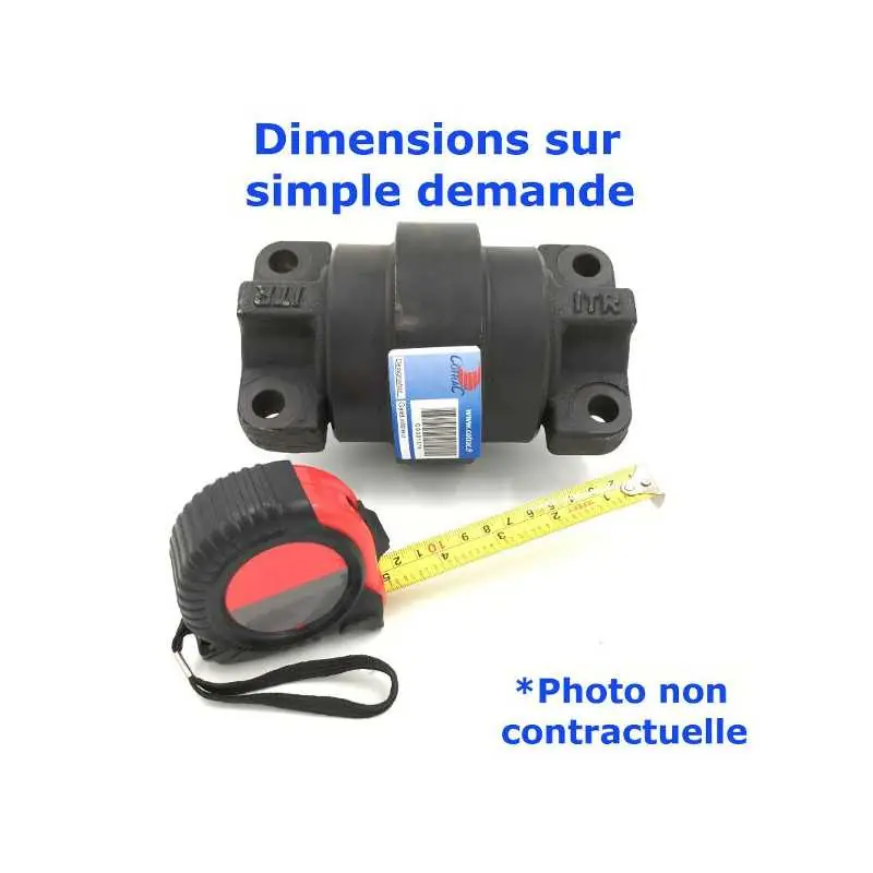 Authentique Galet inférieur à double bride CNH FP40