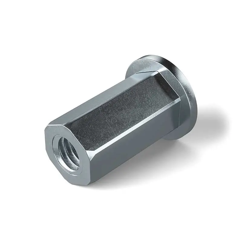 INSERT RIVKLE PLUS TETE PLATE ACIER ZINGUE HEXAGONAL Ø Affaire À Saisir