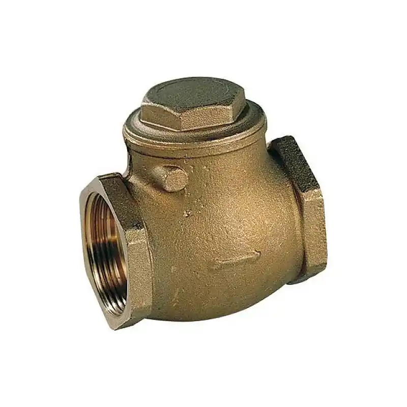 Offre Limitée Clapet à battant laiton 2"
