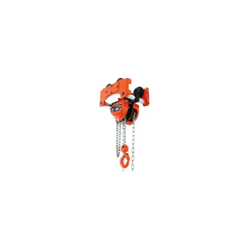 Jusqu&rsquo;à Épuisement Des Stocks REMA S20P COMBINAISON PALAN ET CHARIOT REMA S20P-0.5T-10M COMBINAISON PALAN ET CHARIOT