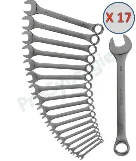 Haute Qualité Jeu de 17 Clé Mixte Gamme Expert